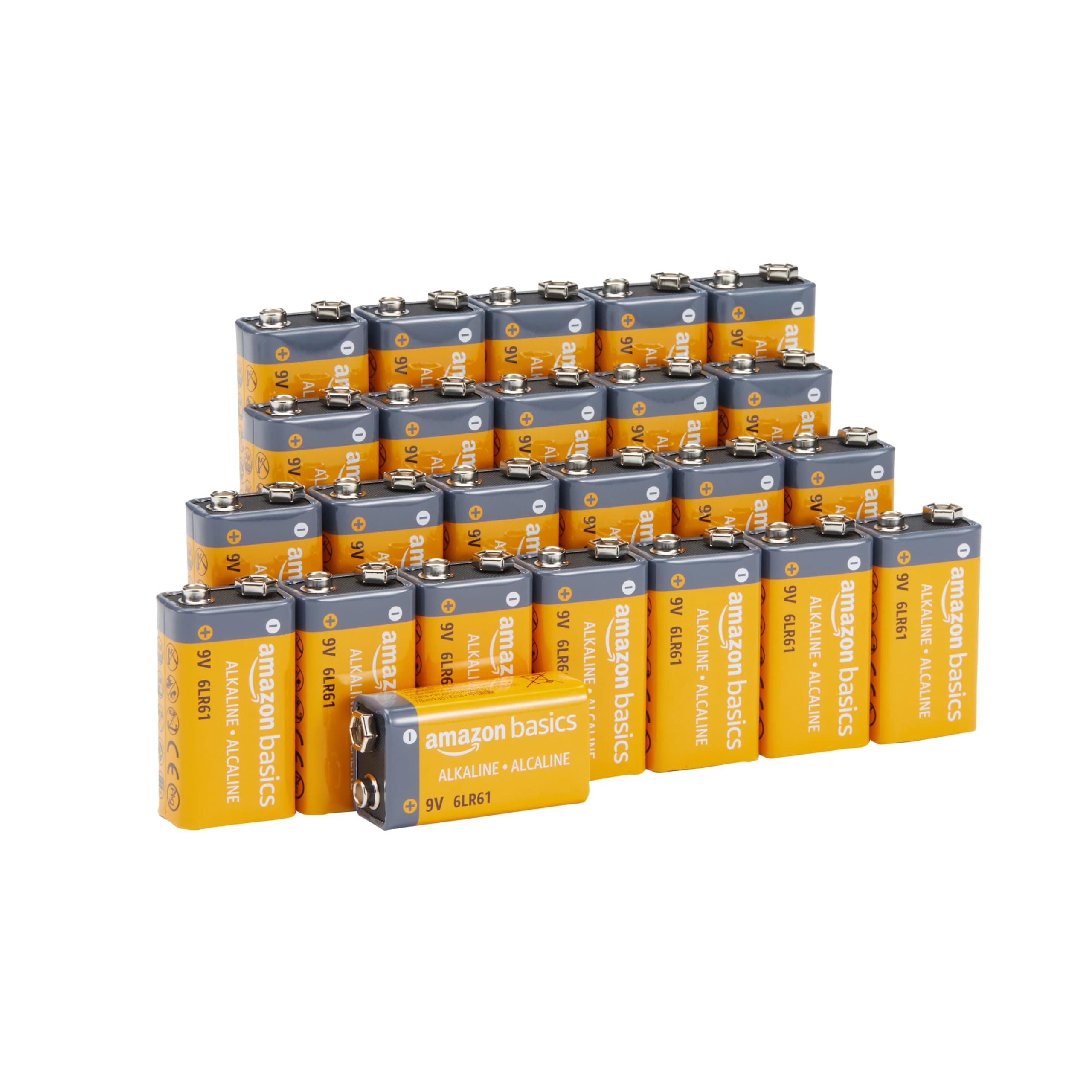 AmazonBasics 9V Everyday Alkaline Batteries (24-Pack)