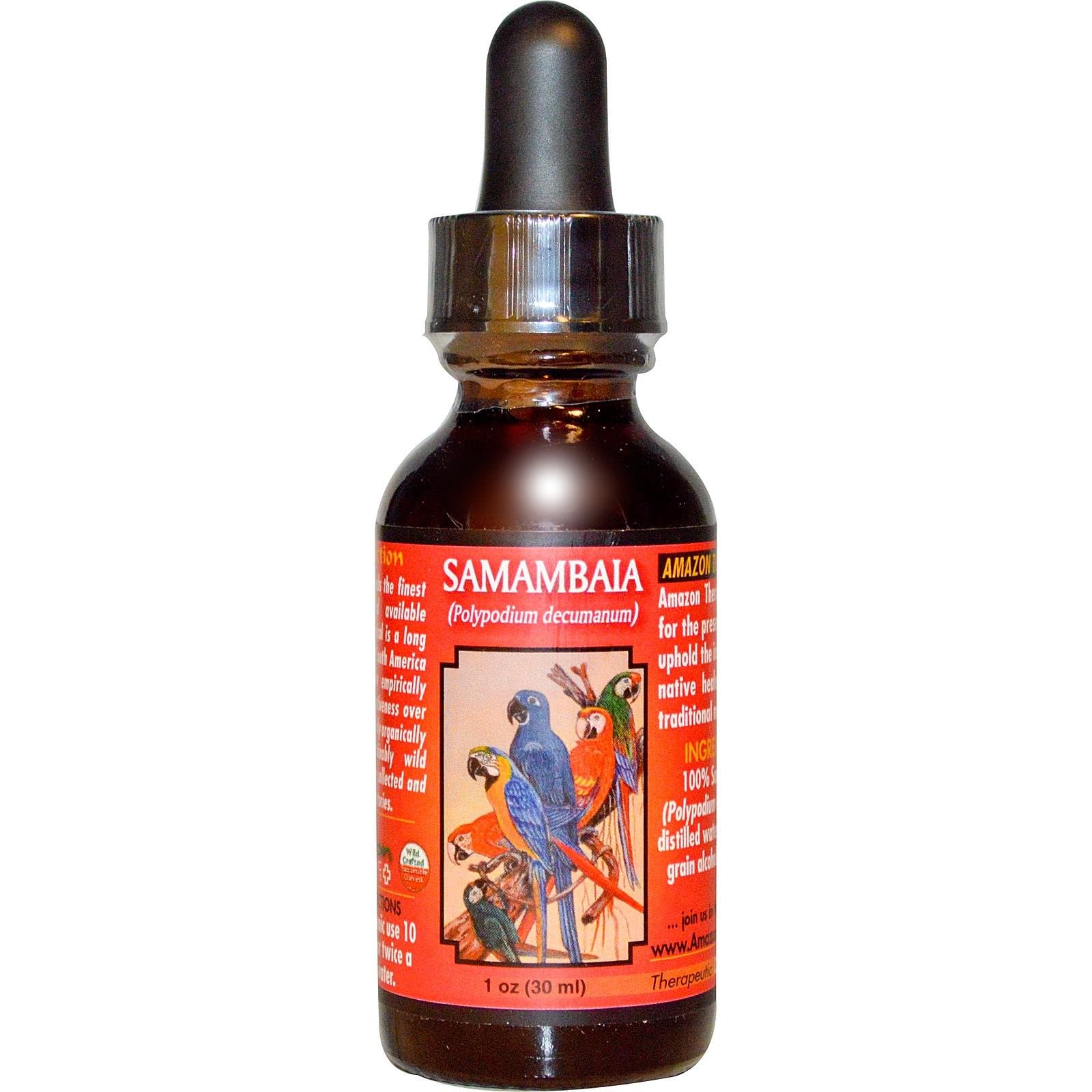 Amazon Therapeutic Laboratories - Skin Support - Immune System Support - Amazon Herbs - Wild Crafted Herbs - Immune Support Herbs - Samambaia Liquid Extract 1oz