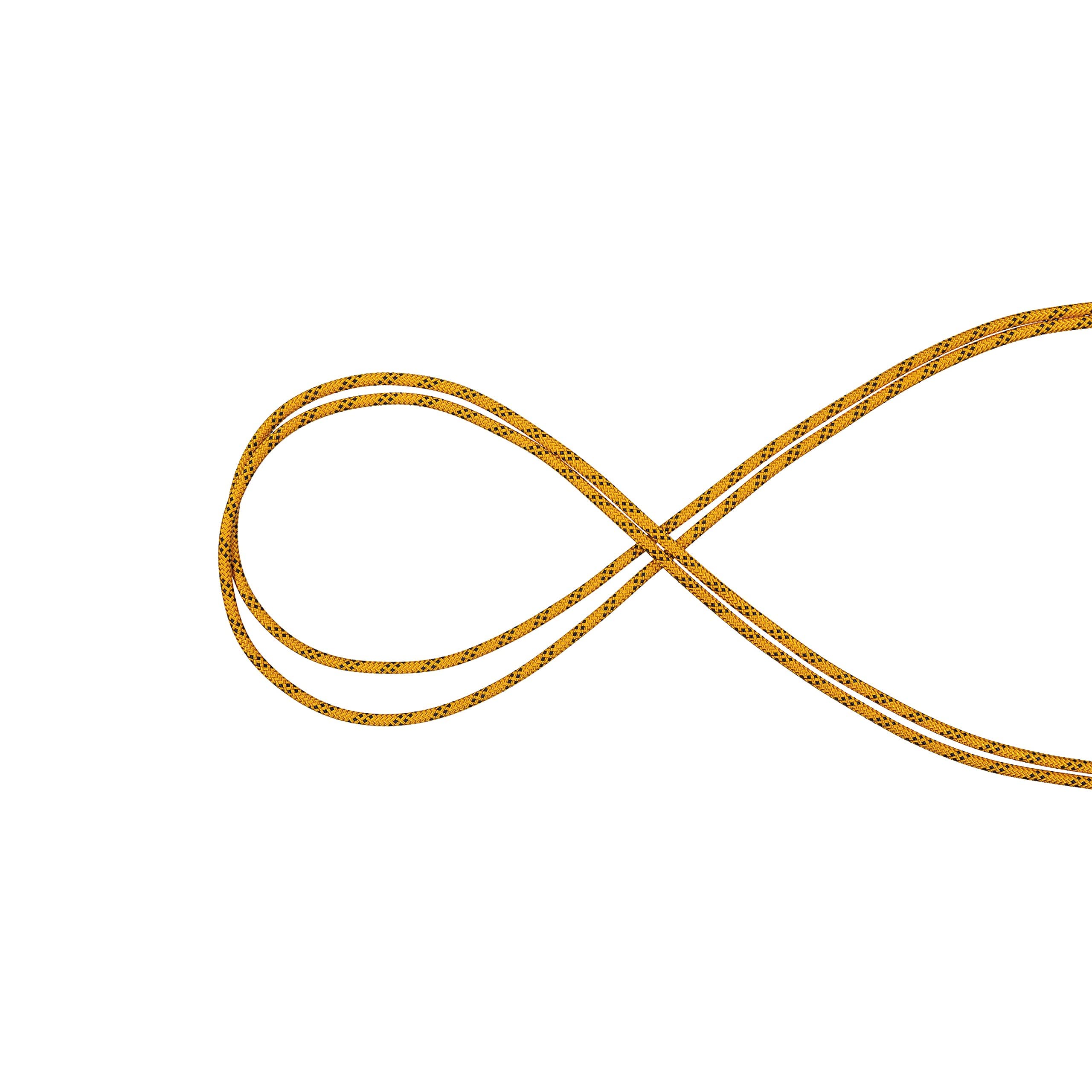 Mammut Performance Static Rope - 10mm