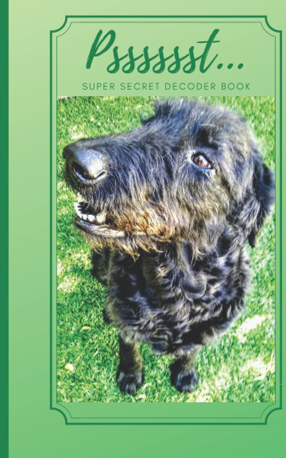 Psssssst..., Super Secret Decoder Book: Password Tracker