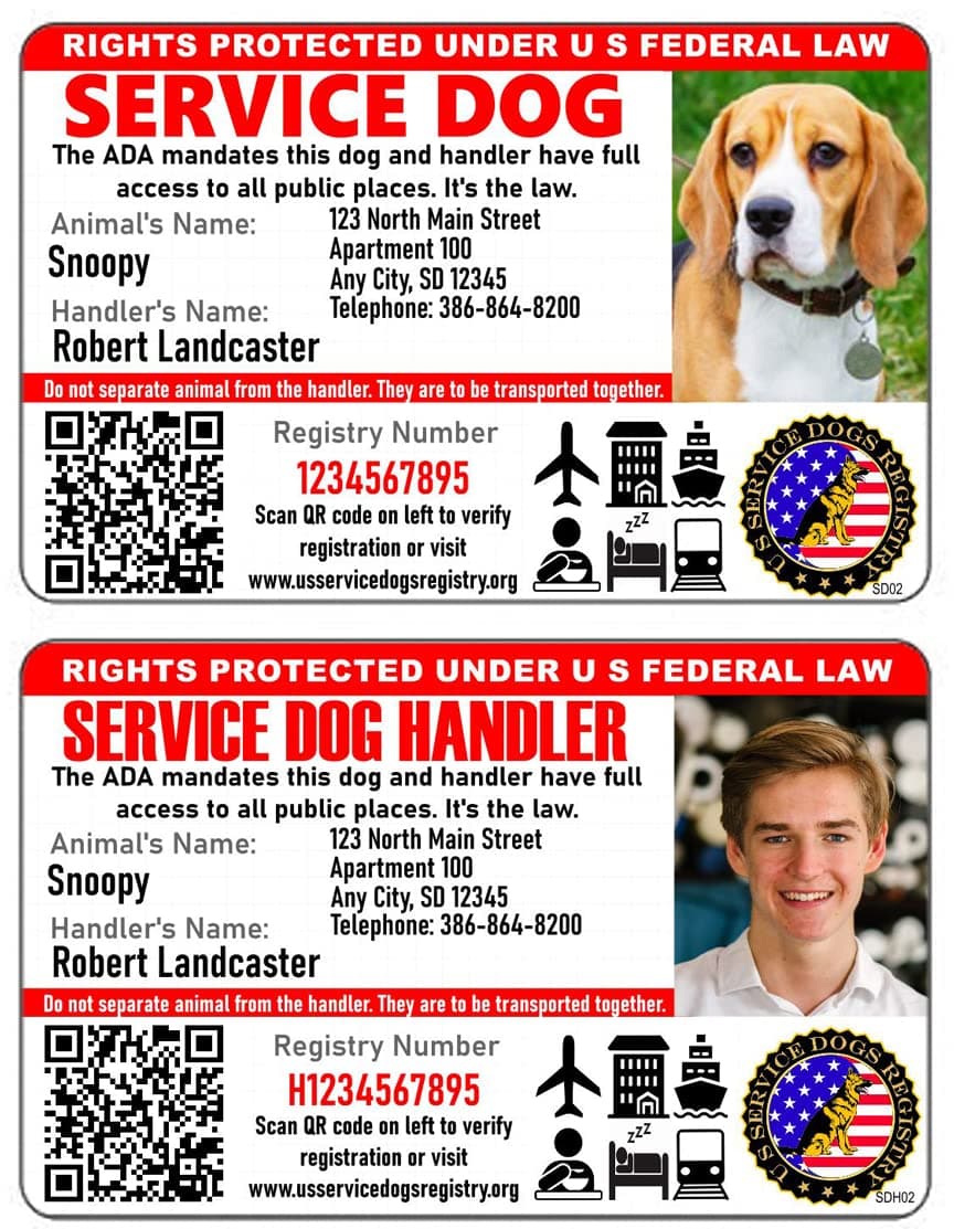 Service Dog Handler Bundle