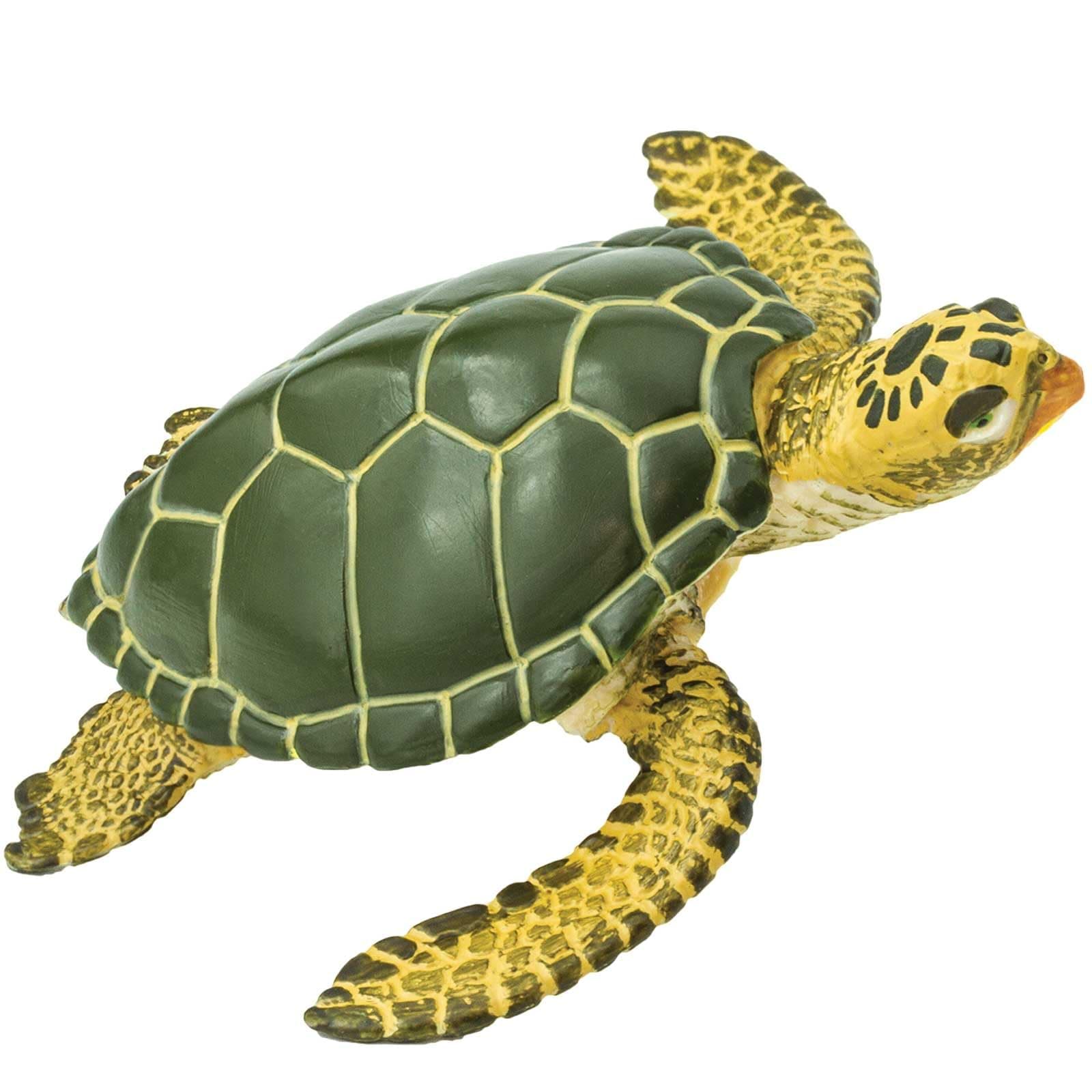 Safari Ltd. Green Sea Turtle