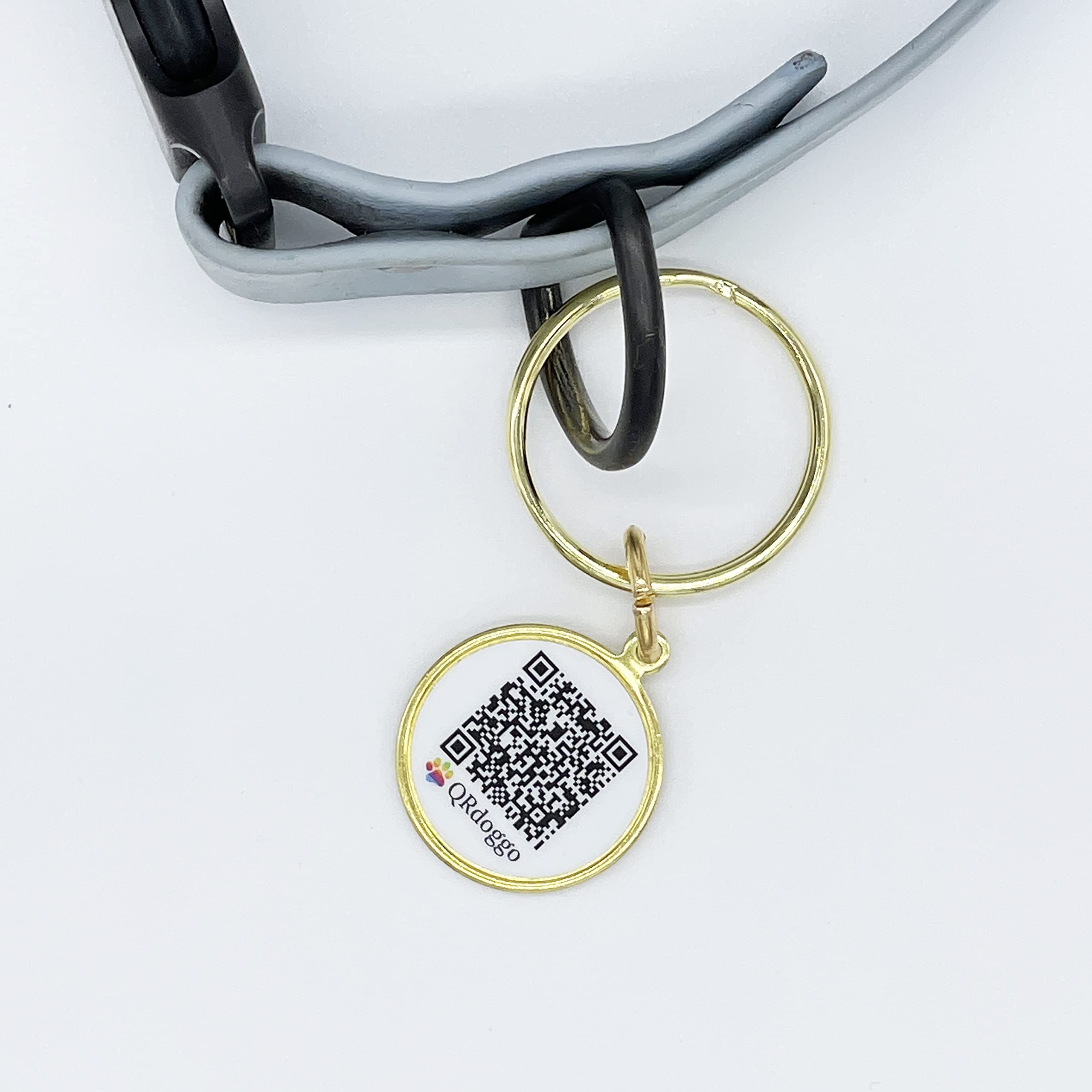 QR Code Dog Tag with Customized Personal Website for Your Dog - Boost Your Dog's Internet Presence