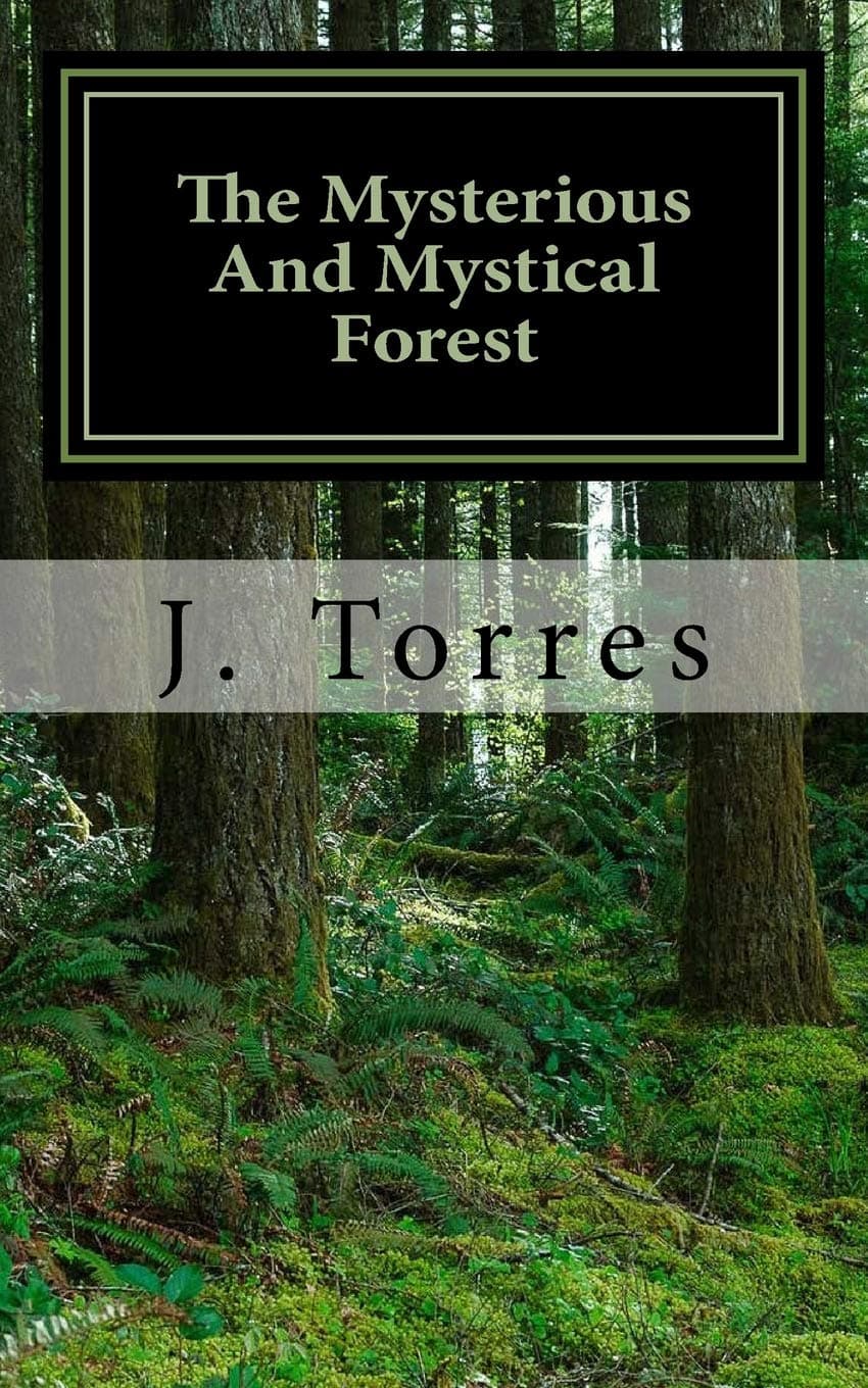 The Mysterious And Mystical Forest
