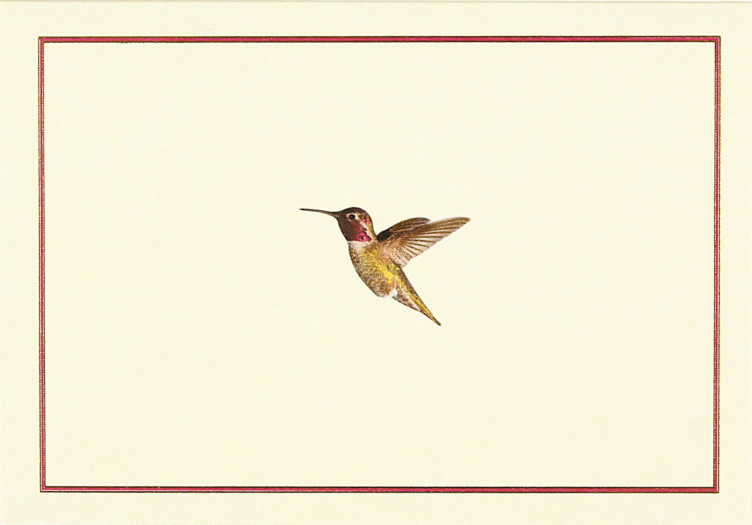 Hummingbird Flight Note Card