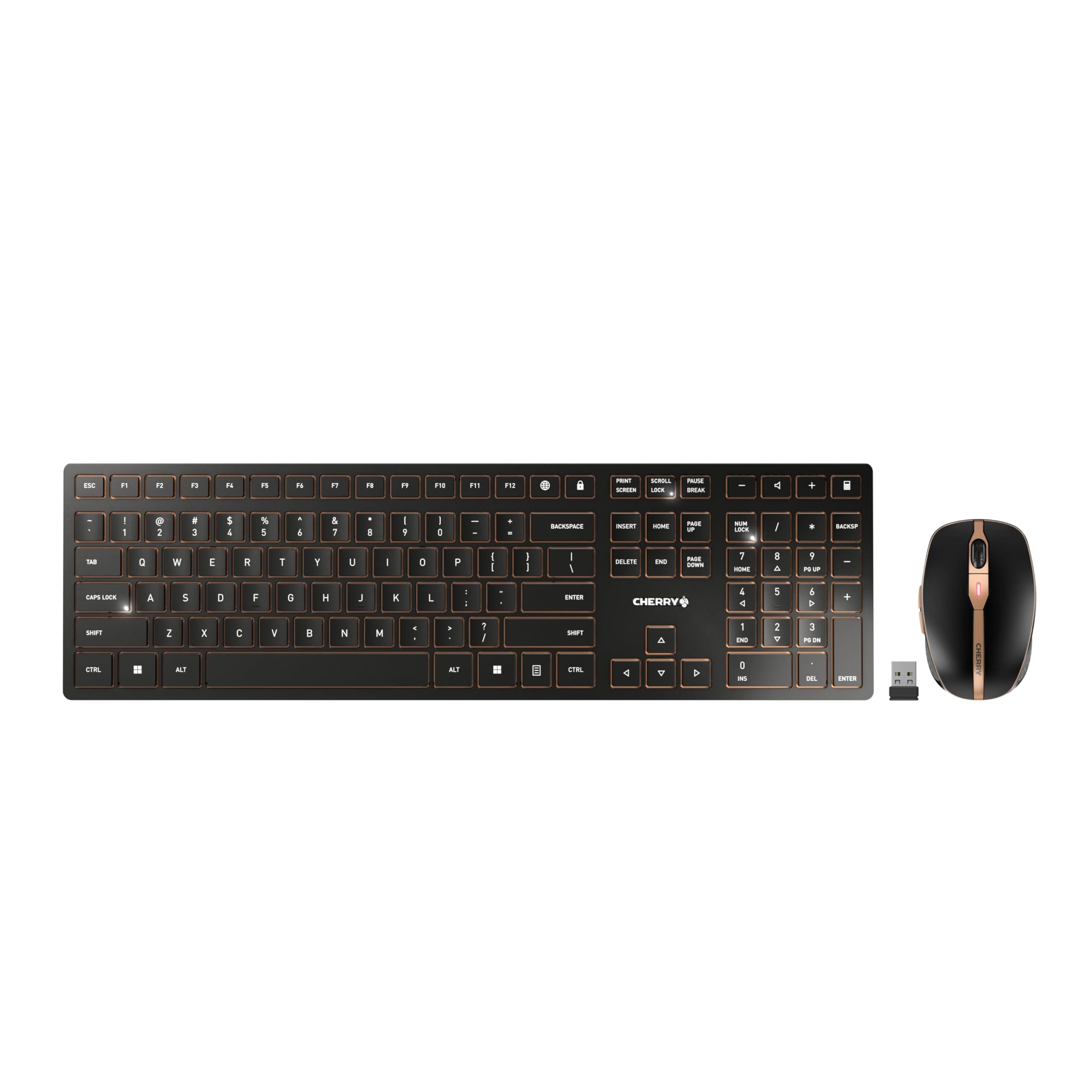 DW 9100 Slim, Wireless Keyboard and Mouse Set, Bluetooth & 2.4 GHz RF Connection, Quiet Keys, Comfortable Writing, Rechargeable, QWERTY, Black/Bronze