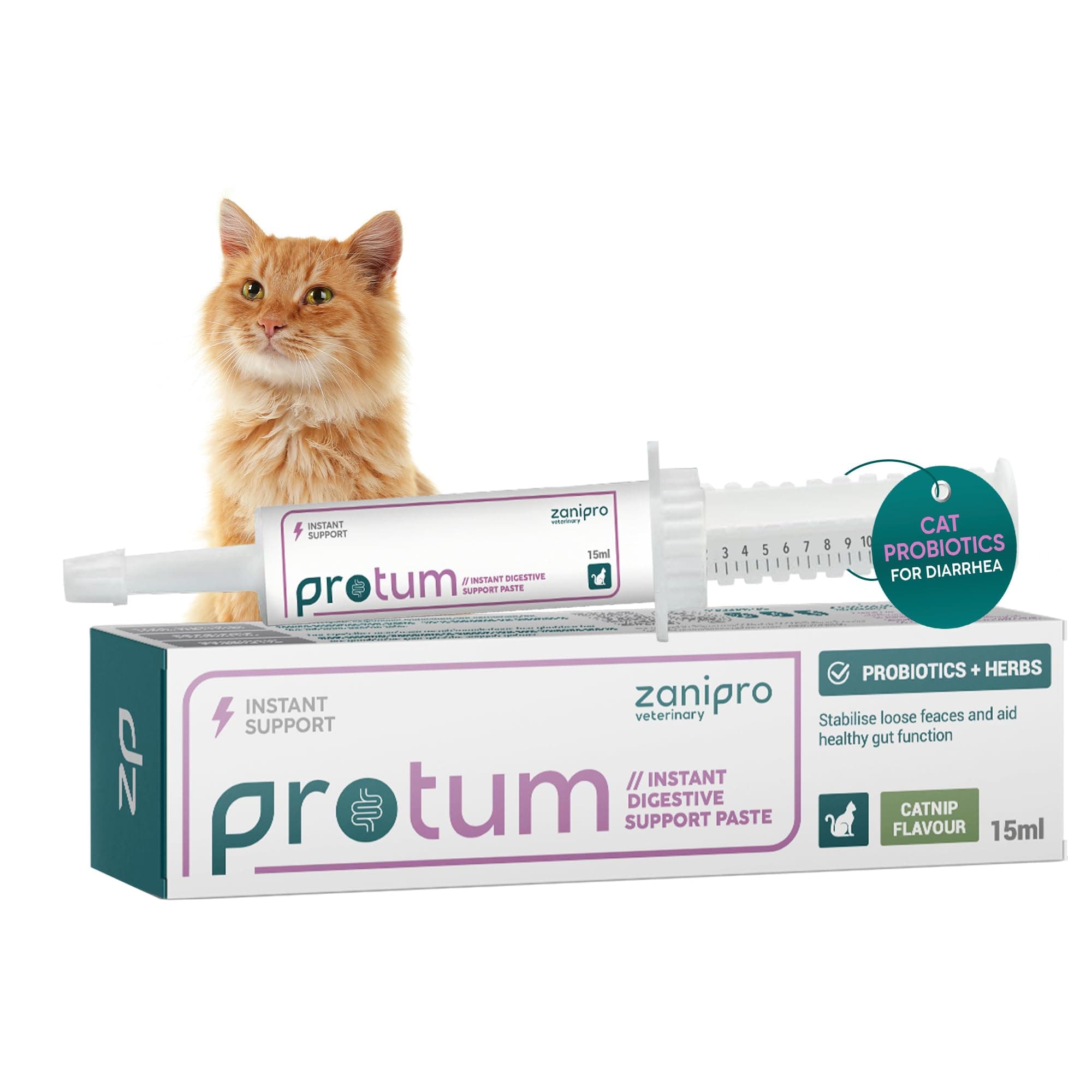 Protum Probiotic Paste for Cats - 15ml Prebiotic Formula for Digestion - Natural Aid for Diarrhea, Constipation & Intestinal Balance - With Catnip Flavour