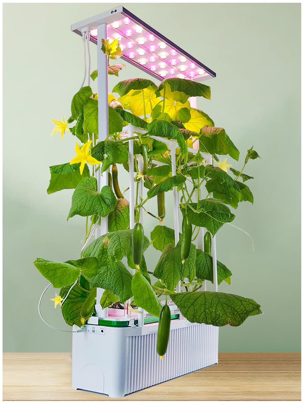 Updated Big Hydroponic Growing System