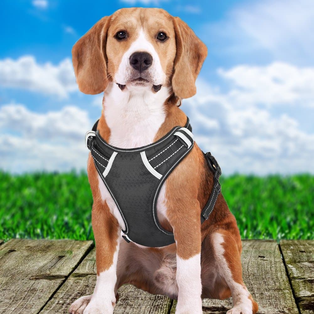 Dog Harness Large No Pull - Front Range Dog Harness Freedom, Harness Dog Adjustable Outdoor Pet and 3M Reflective Oxford Material Vest for Medium, Large Dogs