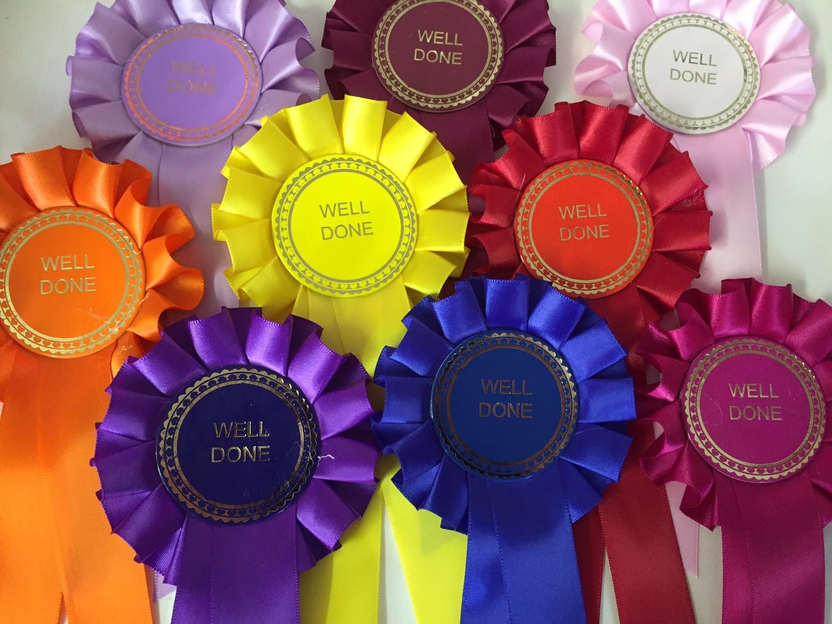 10 x Well Done Rosettes