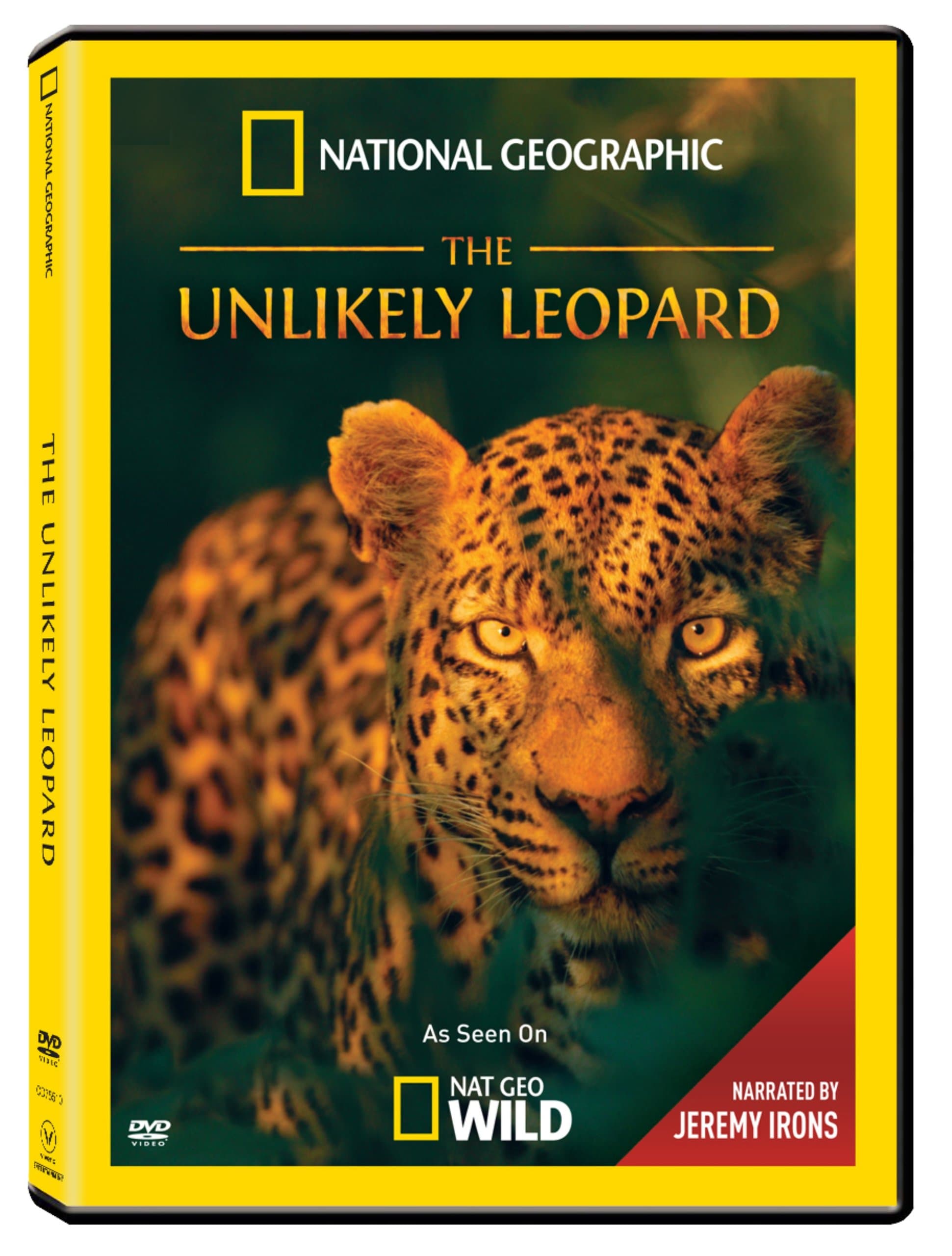 The Unlikely Leopard