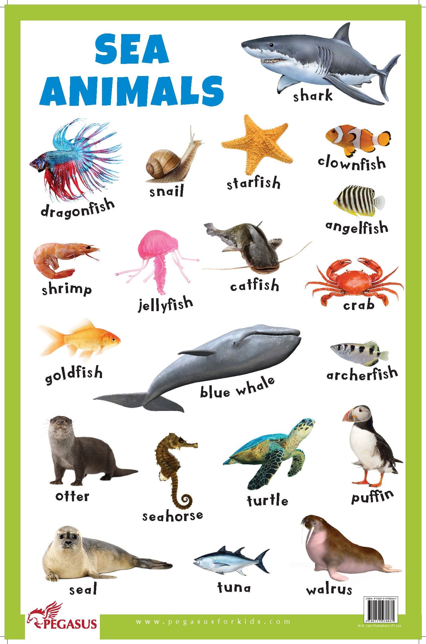 Sea Animals Educational Chart