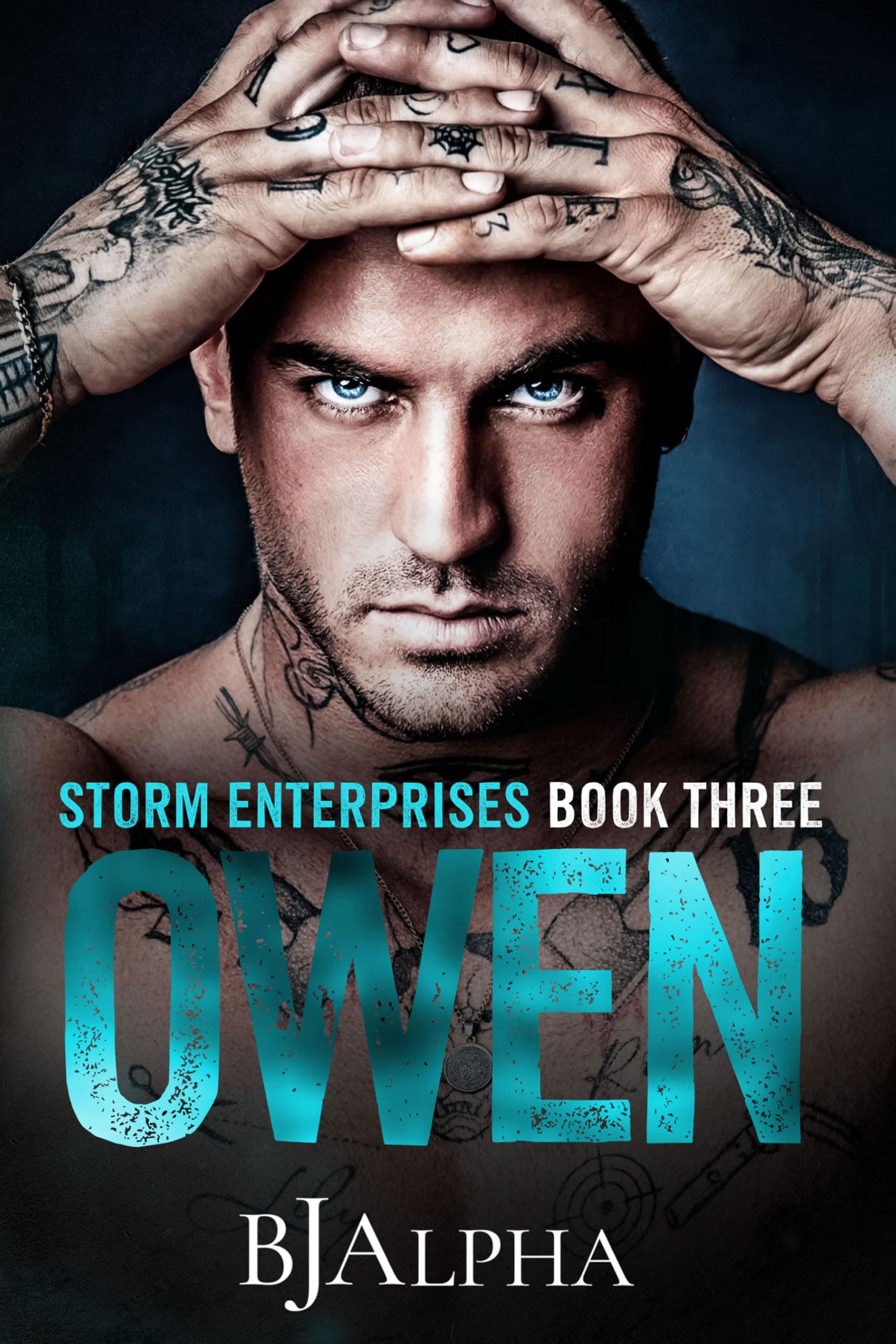 OWEN : STORM ENTERPRISES BOOK 3
