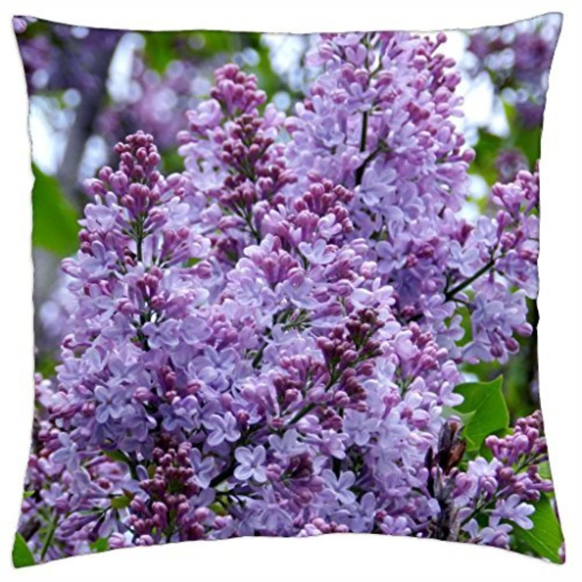 Geargrip Lite CPU Holder