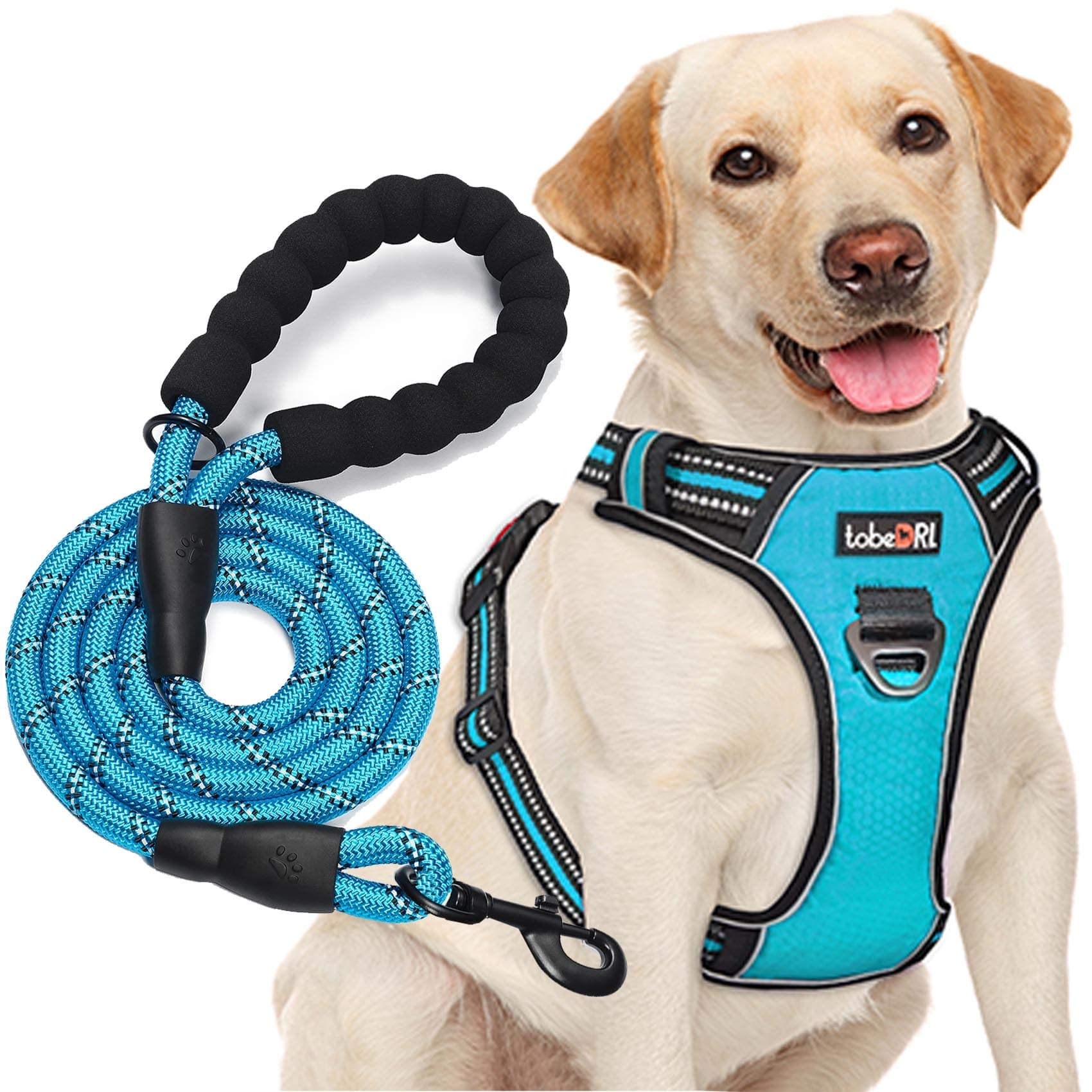 No Pull Dog Harness Adjustable Reflective Oxford Easy Control Medium Large Dog Harness with A Free Heavy Duty 5ft Dog Leash (L (Neck: 18"-25.5", Chest: 24.5"-33"), Blue Harness+Leash)