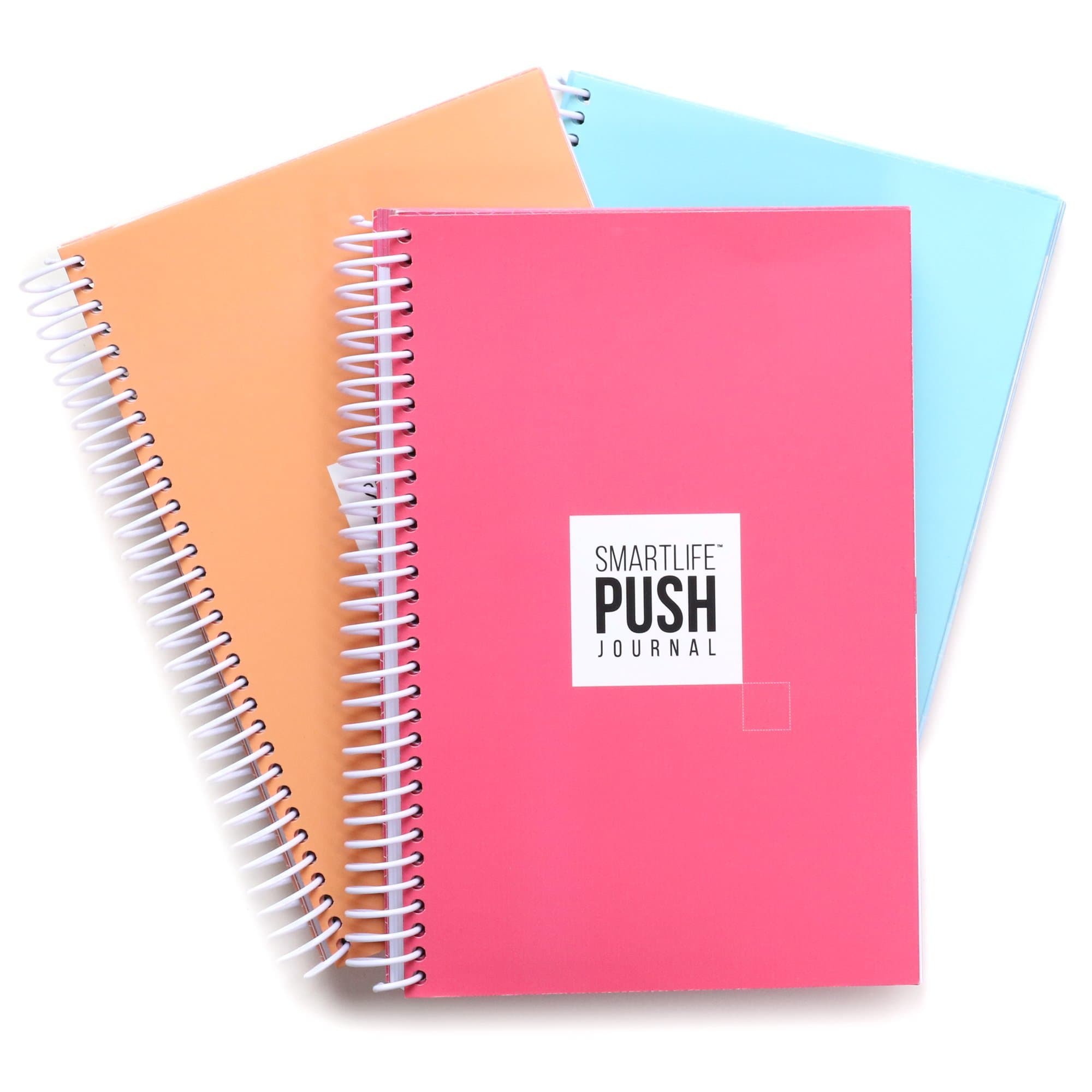 PUSH Journal (Spring Series)