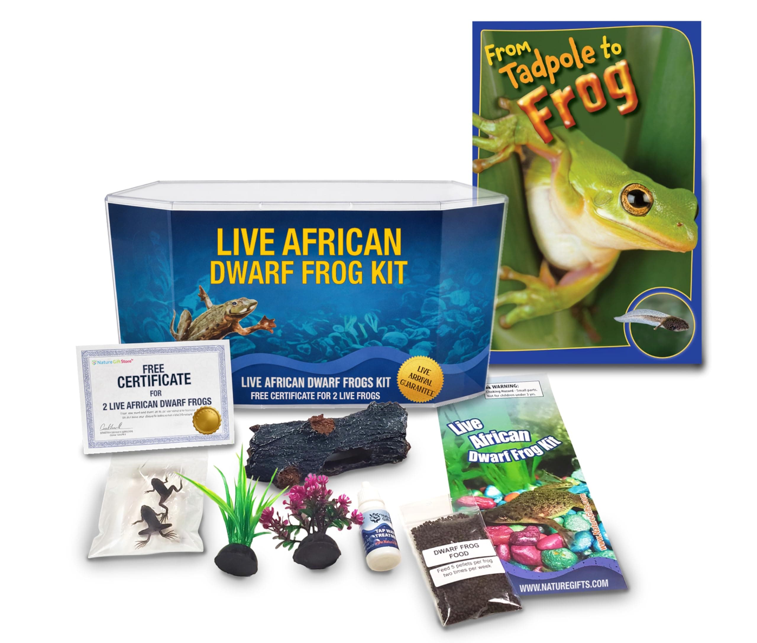 African Dwarf Frog Starter Kit- Includes Certificate for 2 Live Frogs- All-in-One Bundle with Book, Small Aquarium, Food, Instructions Now