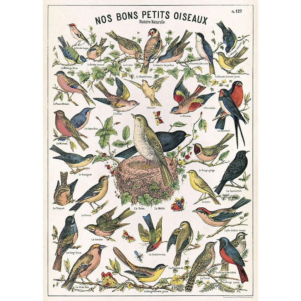 Decorative Italian Papers, Bird Chart