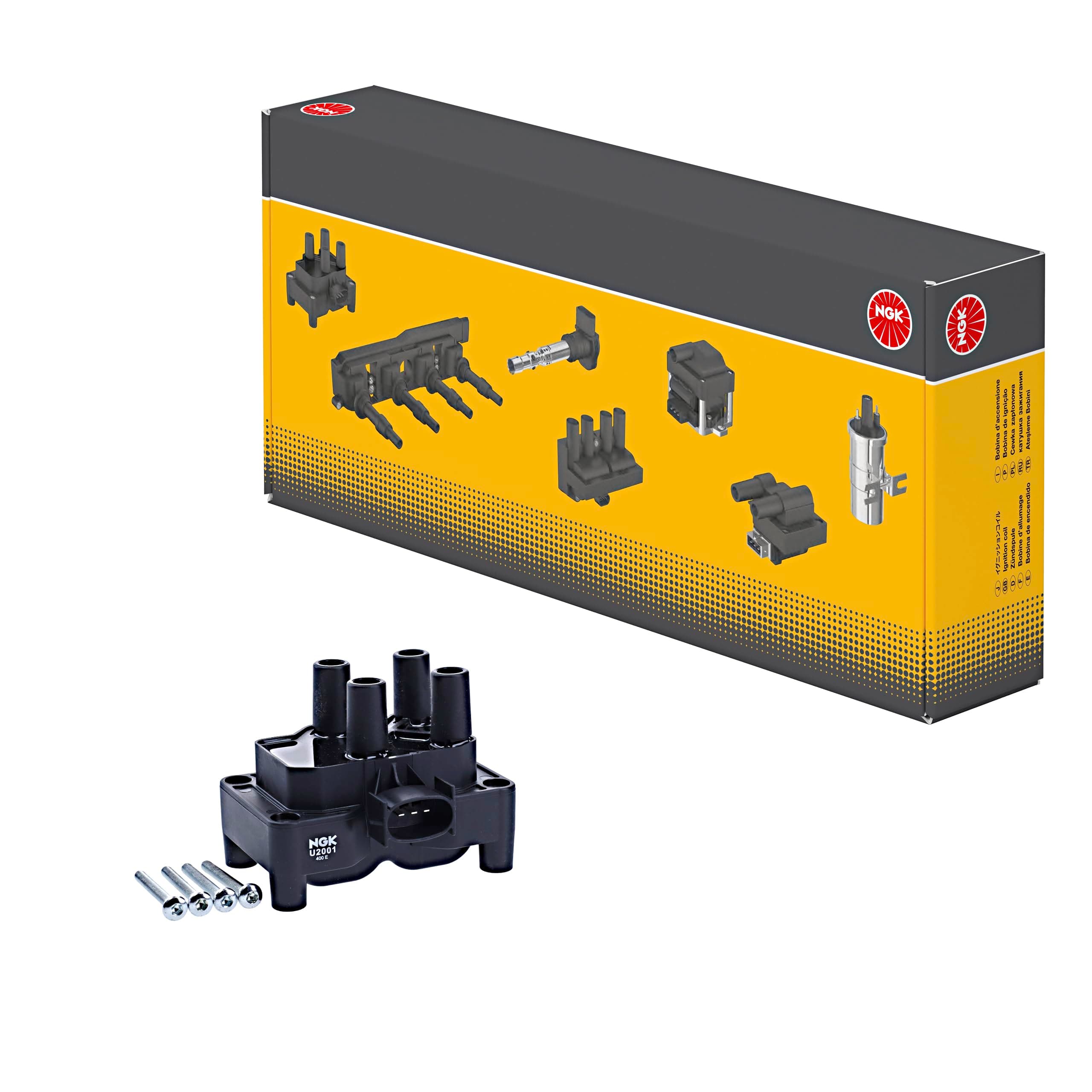 NGK 48001 Ignition and Heating System