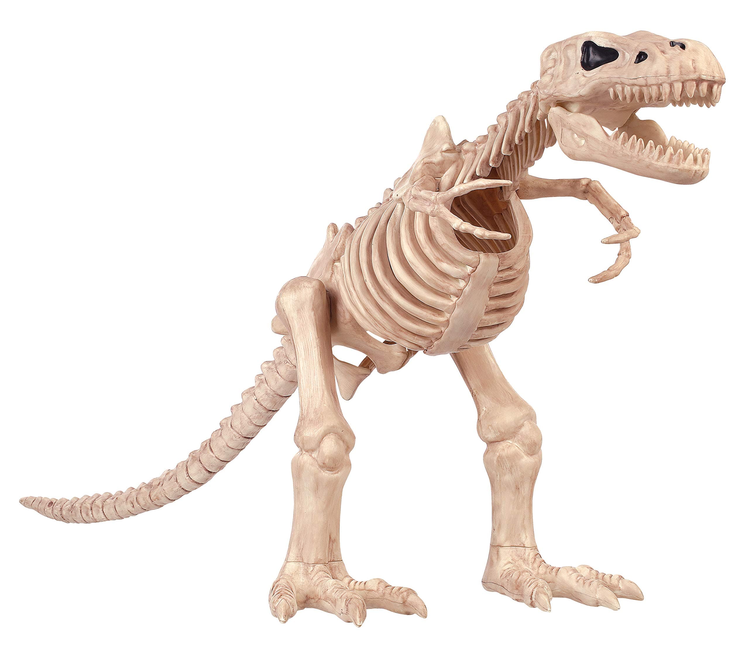 T-Rex Skeleton Toy