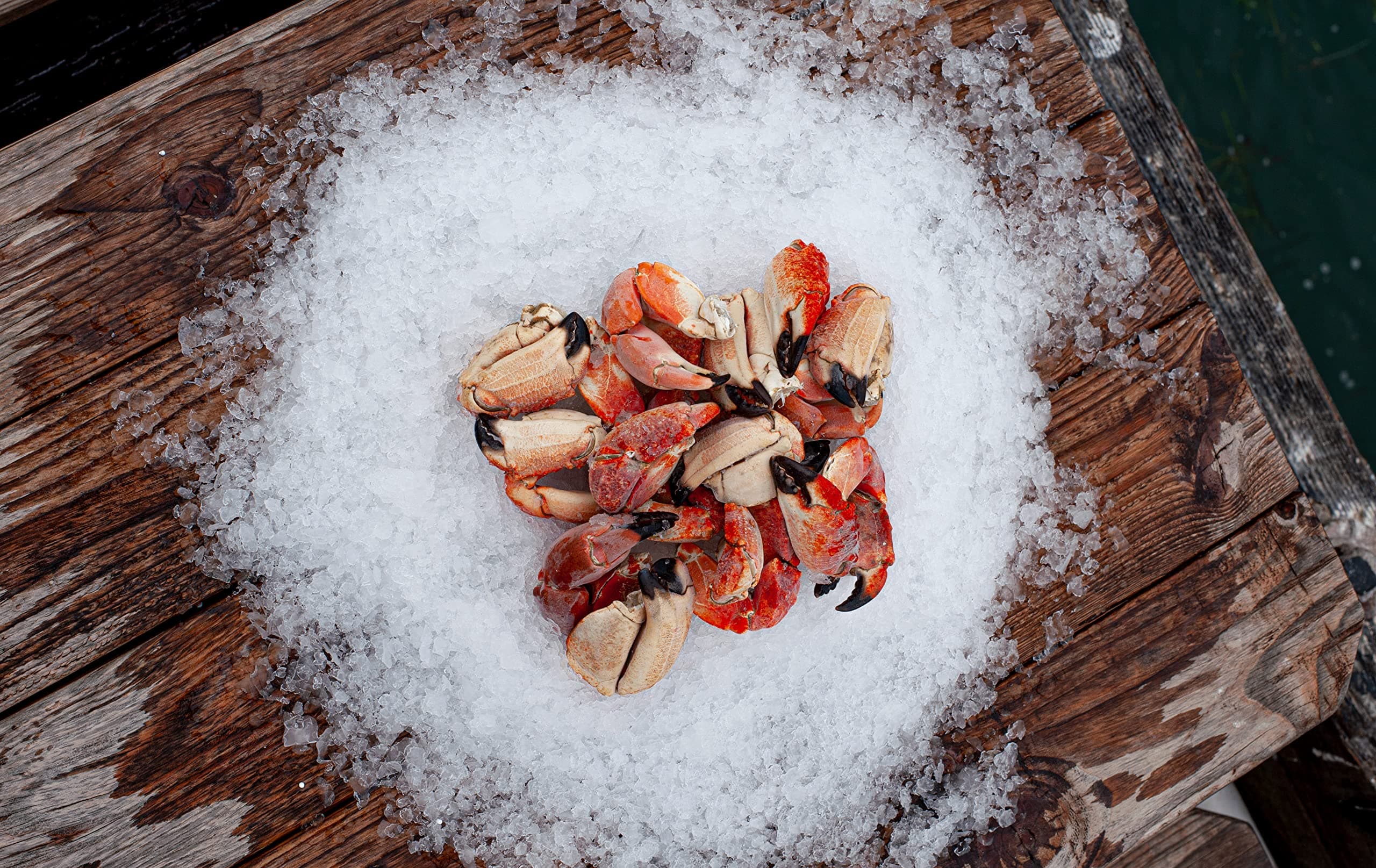 California Rock Crab Claws (5 POUNDS)