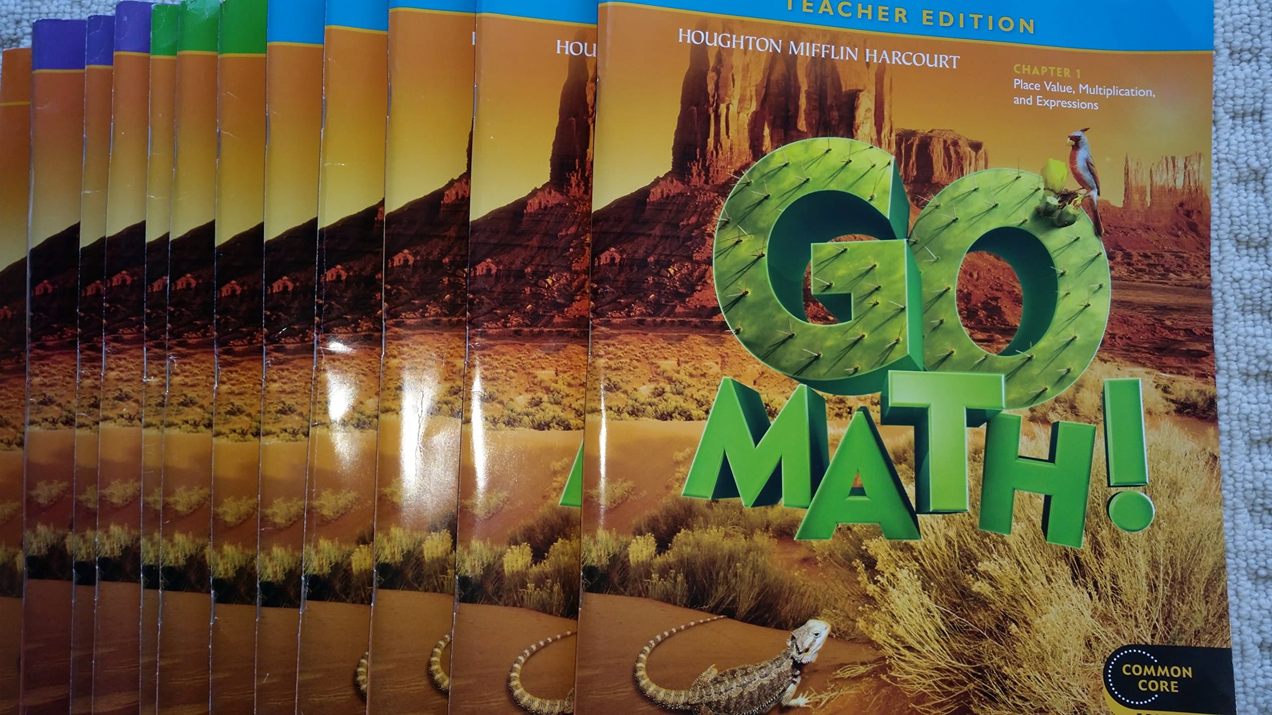 HMH GO MATH Teacher edition and planning Guide, Pkg of 12 books 2012