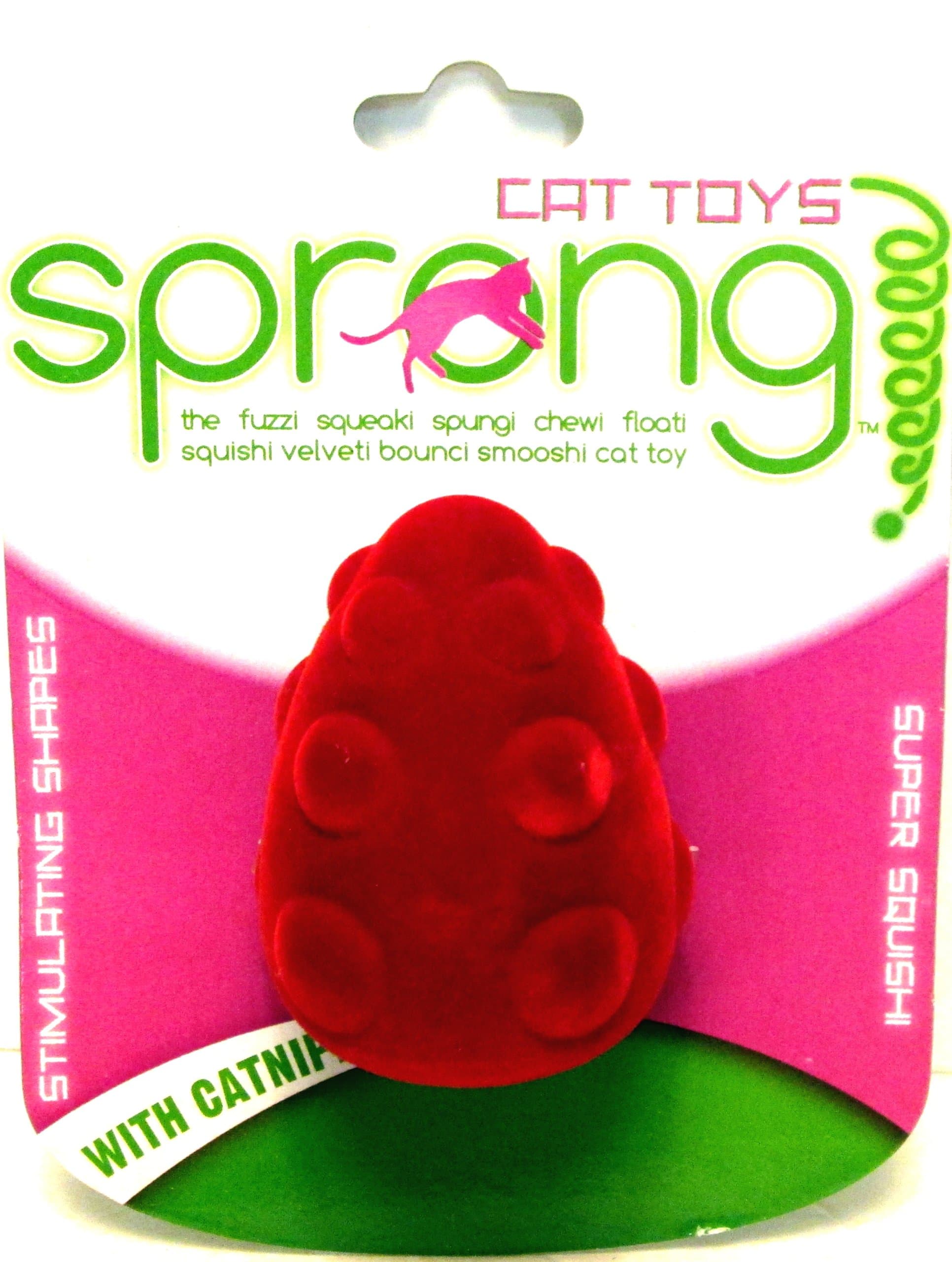 Bumpy Bobbler Squishi Cat Toy with Catnip!