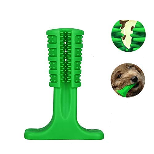 Brush Buddies Talking Toothbrush- Monkey