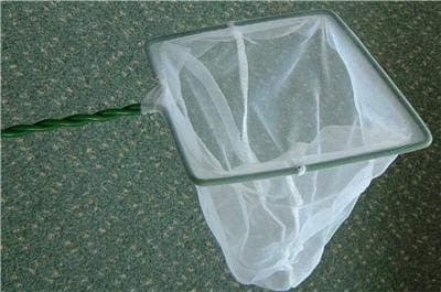 Luscombe Water Gardens