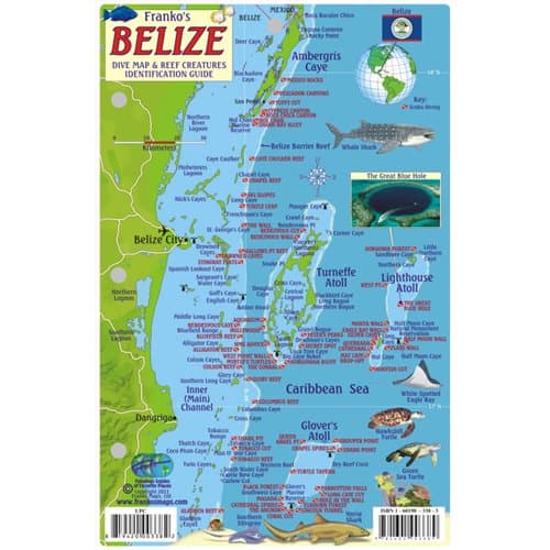 FrankosMaps Belize Mini-map & Reef Creatures Identification Guide - Fish ID