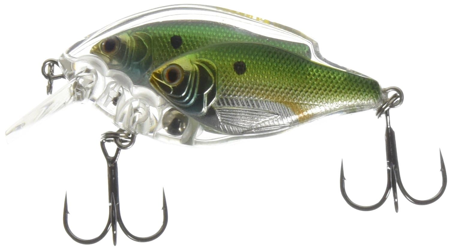 Livetarget Threadfin Shad Squarebill
