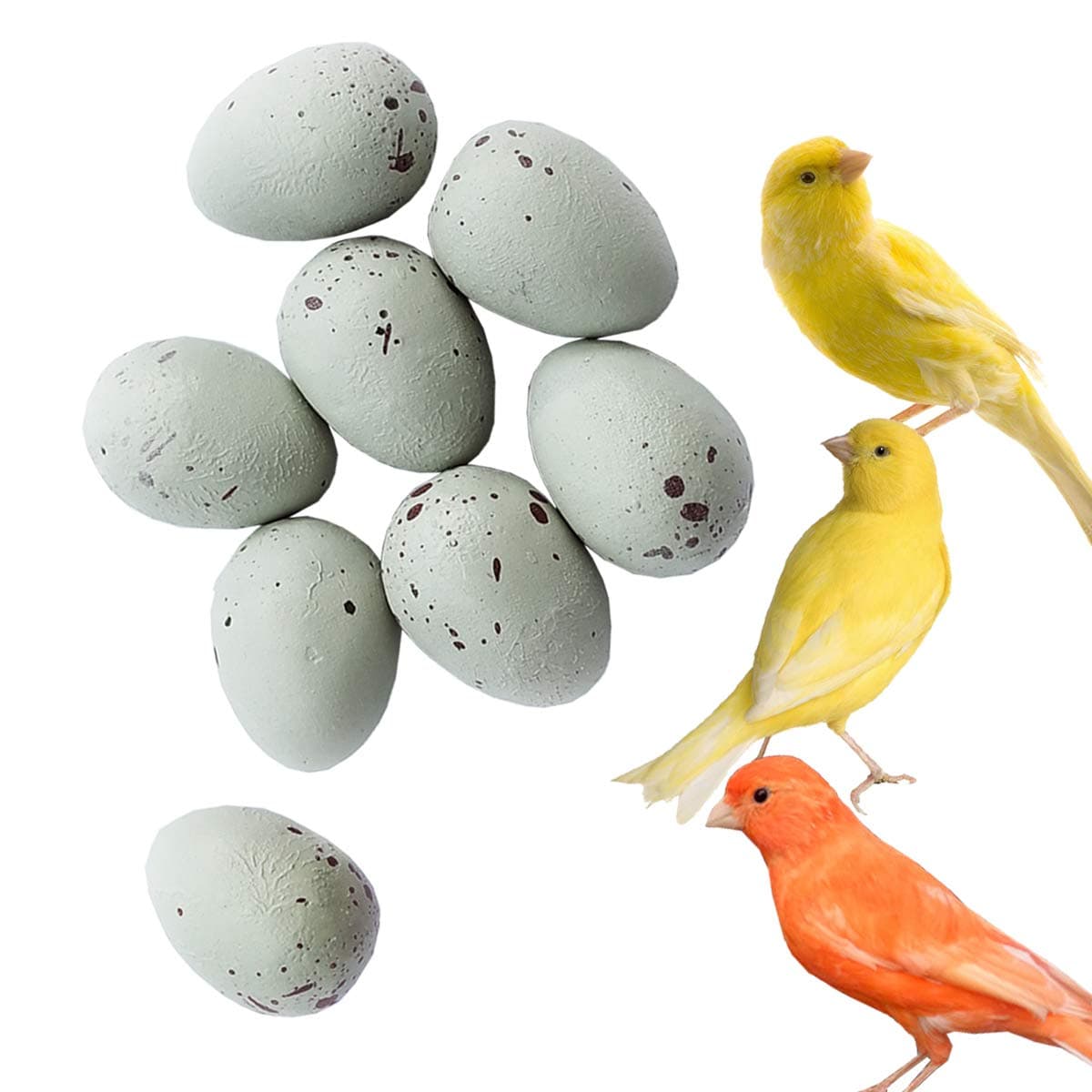 FOIBURELY 8 Pcs Solid Canary Dummy Eggs Hatching Eggs Trick The Birds to Stop Laying Eggs, Dummy Eggs(19mm13mm)