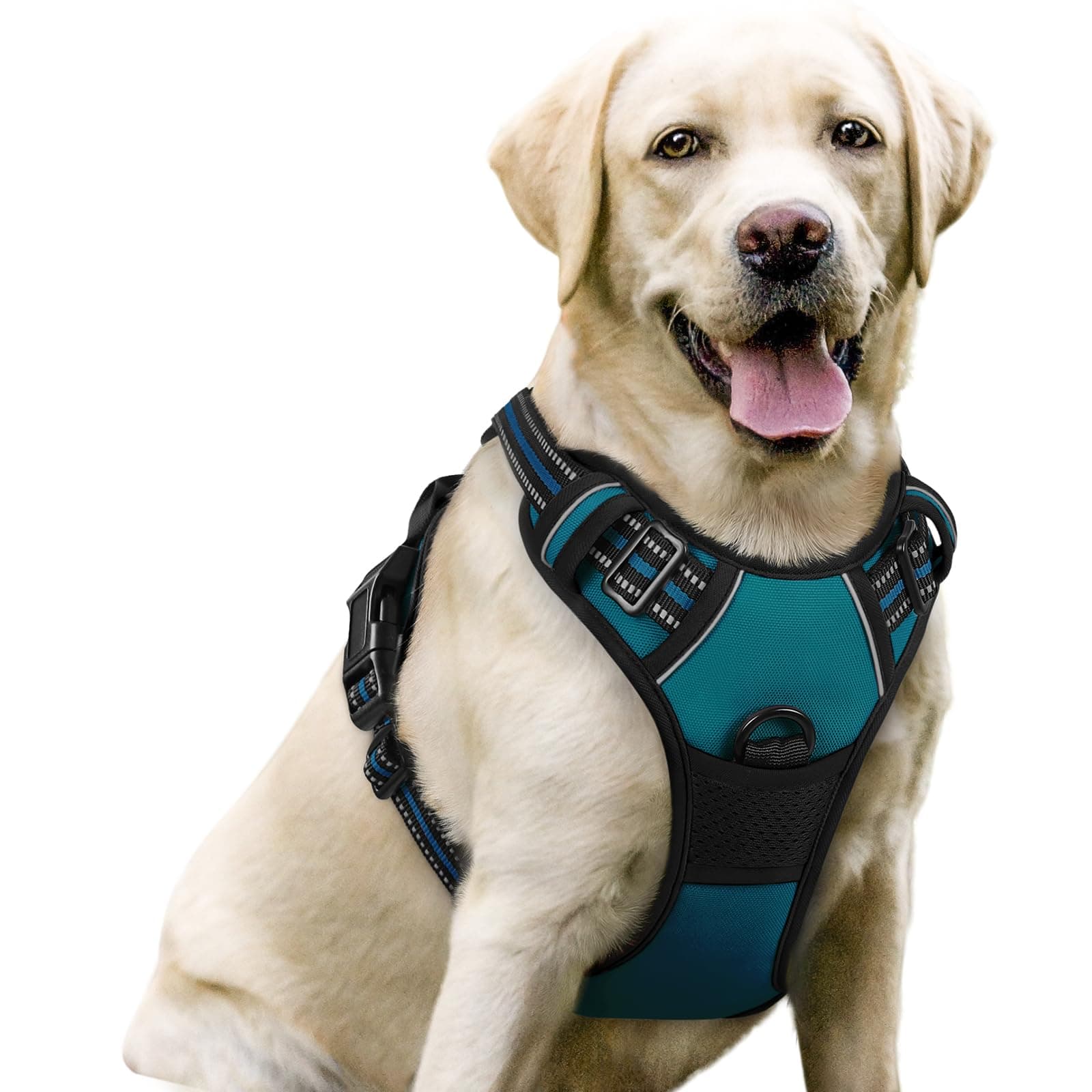 rabbitgoo Dog Harness No Pull with 2 Leash Clips, Adjustable Soft Padded, Reflective Oxford No Choke Pet Vest with Easy Control Handle for Large Dogs, Blue Coral, L