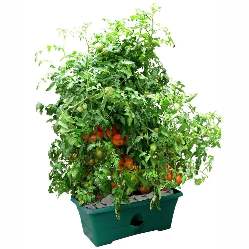 Garden Patch GP01GR-06 Grow Box