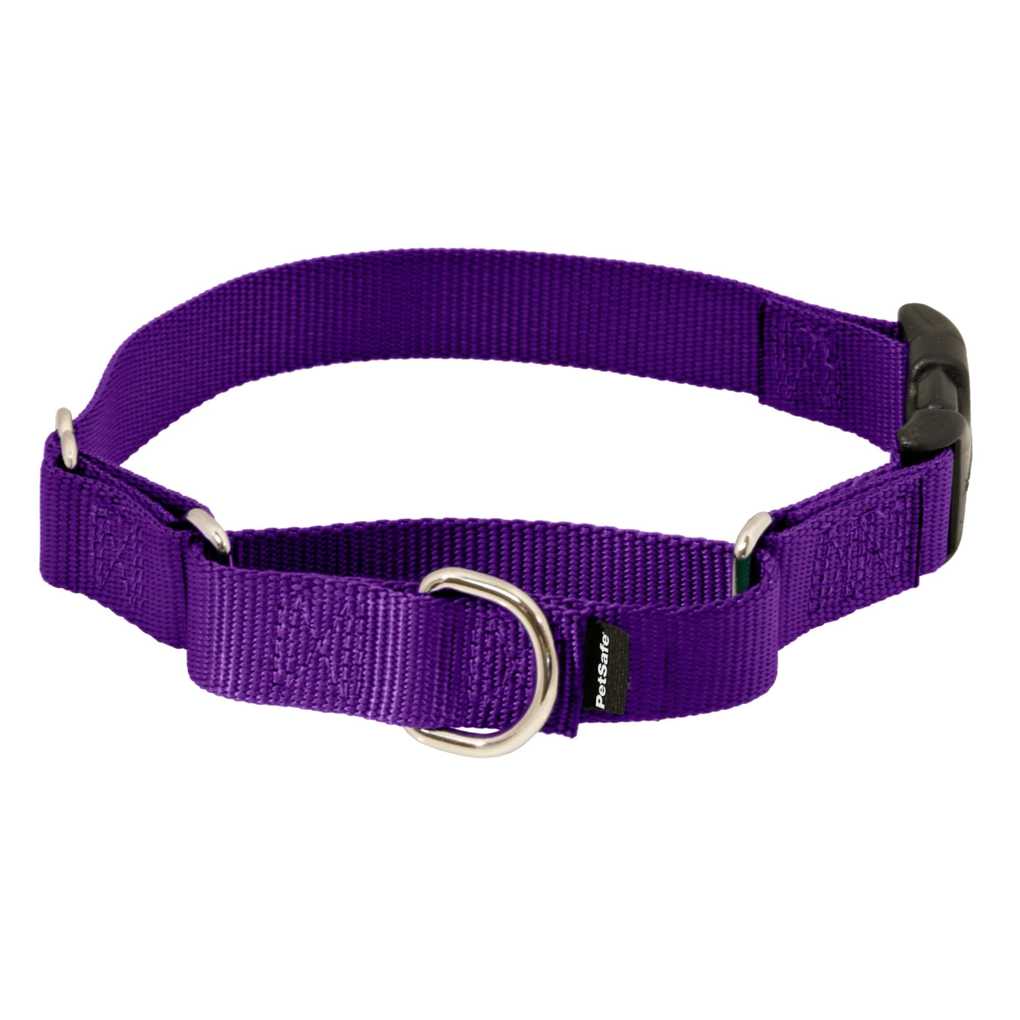 Martingale Collar with Quick-Snap Buckle - Adjustable No-Slip Quick Release Dog Collar - Everyday Wear No-Pull Training Aid - 3/4" Wide - Medium - Deep Purple