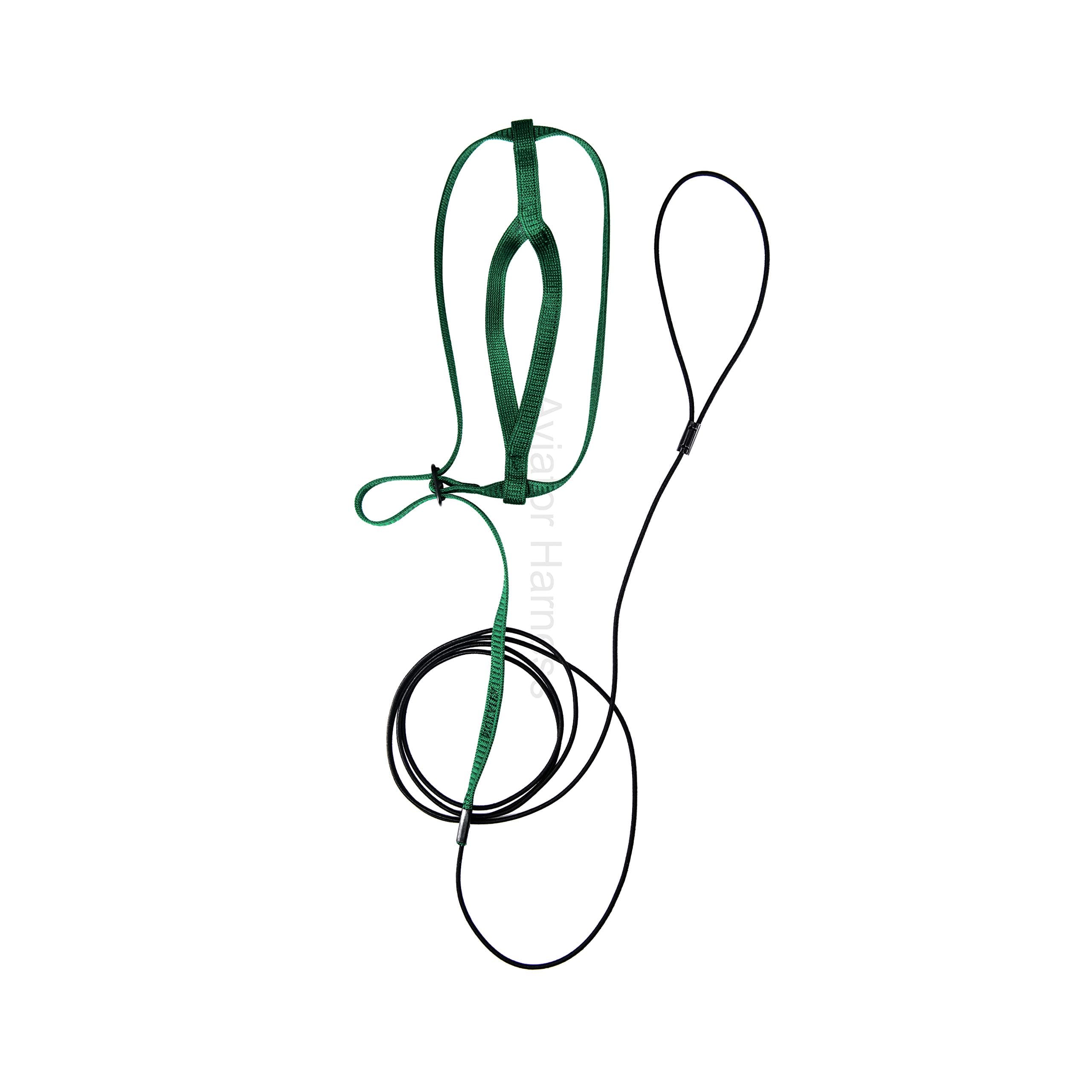 AVIATOR Pet Bird Harness: Medium Green