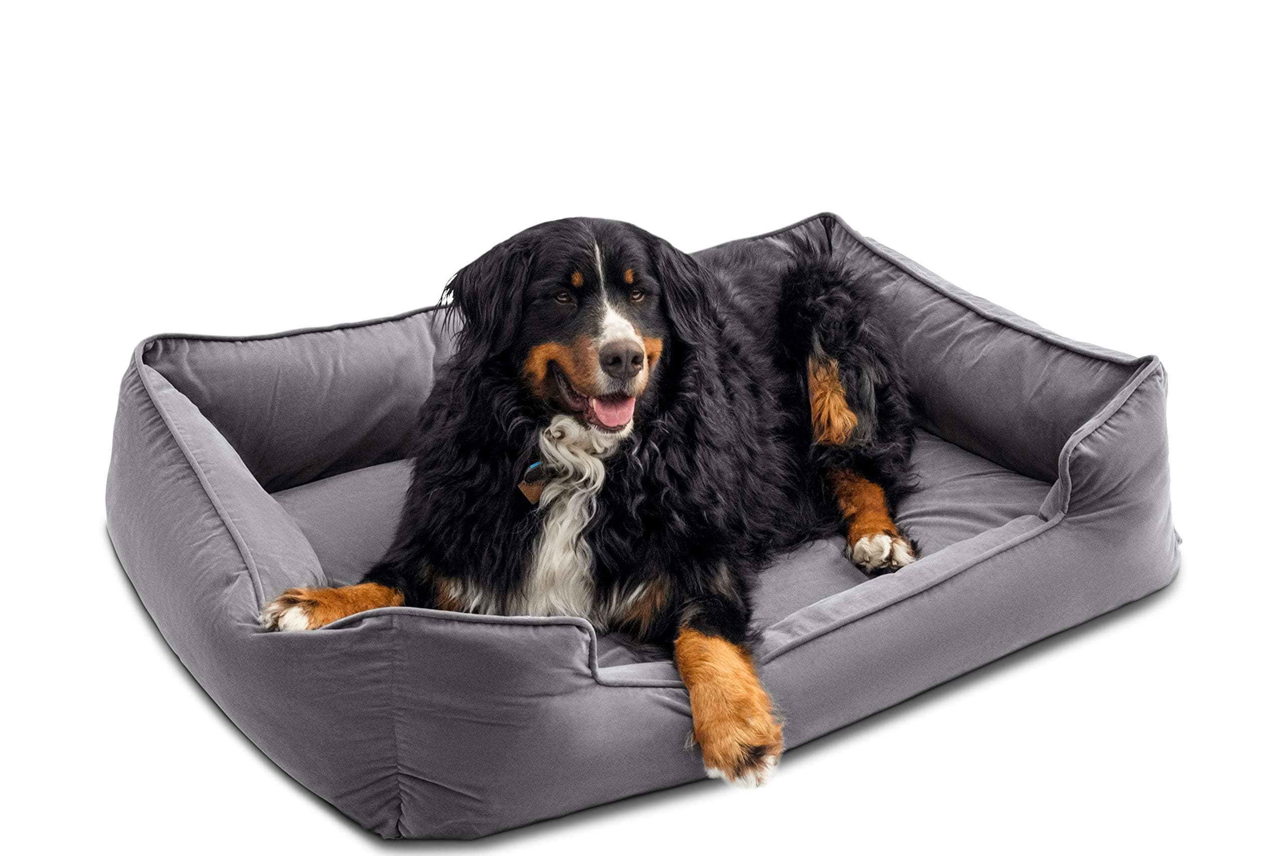 Premium Dog Bed with 4" Solid Memory Foam | Waterproof Liner | Cover Washable & Removable (X-Large 47 x 35.5 x 11.2 inch, Gray)