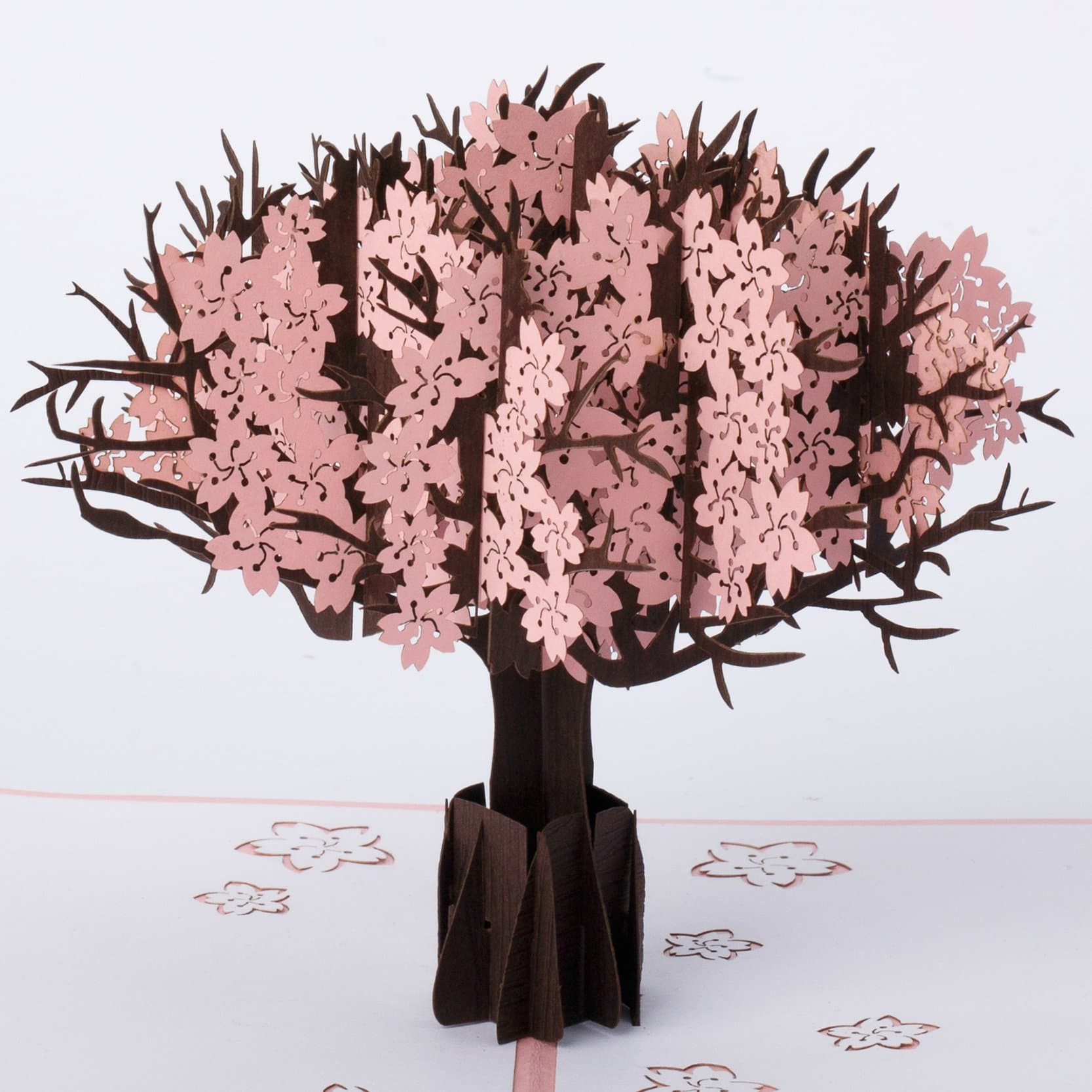 Cherry Blossom Tree.