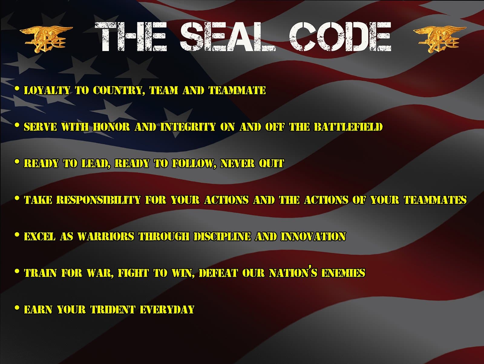 Seal Code Poster Poster Code Poster 18x24 (SEALS110)