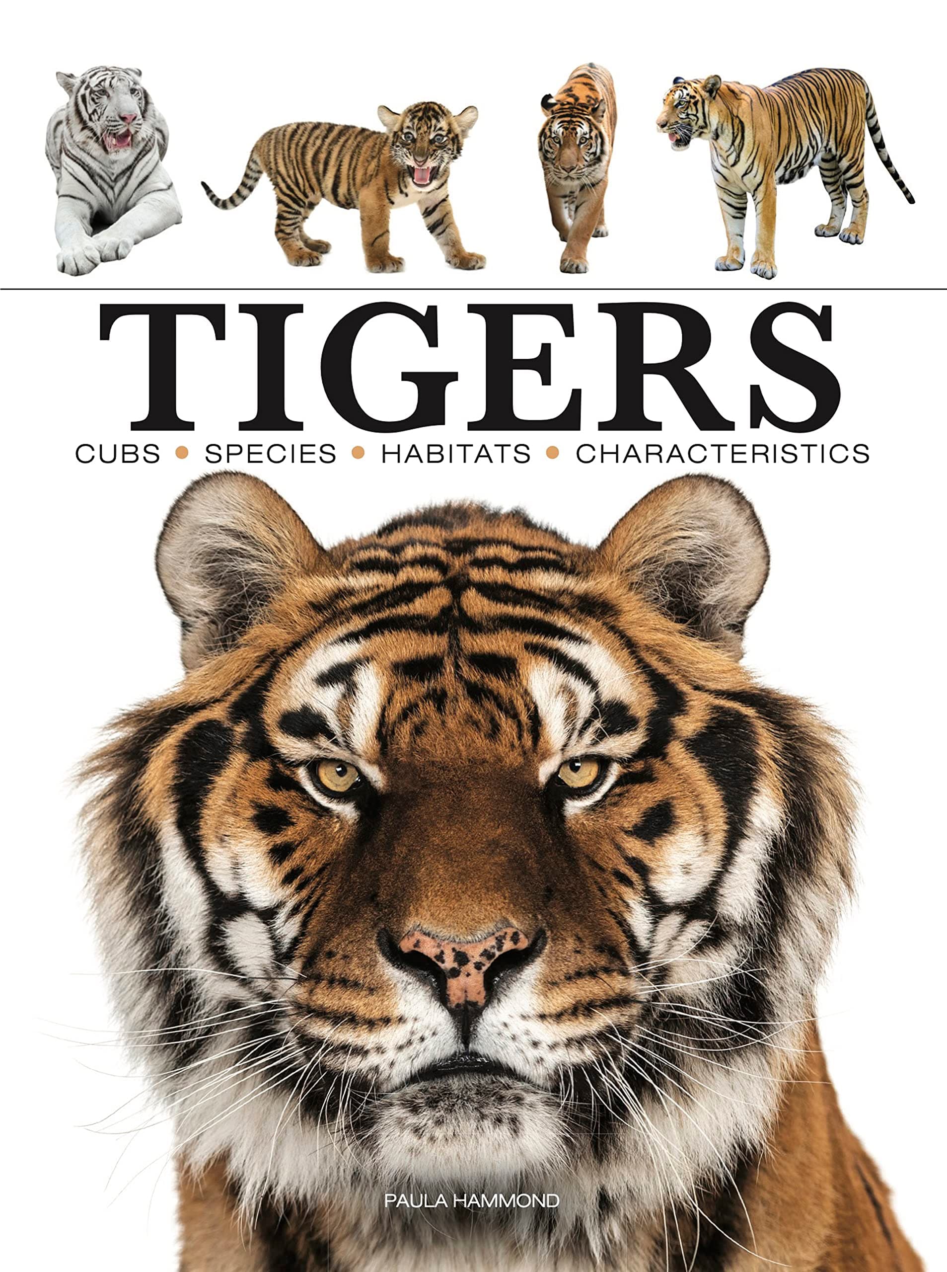 Tigers (Mini Encyclopedia)