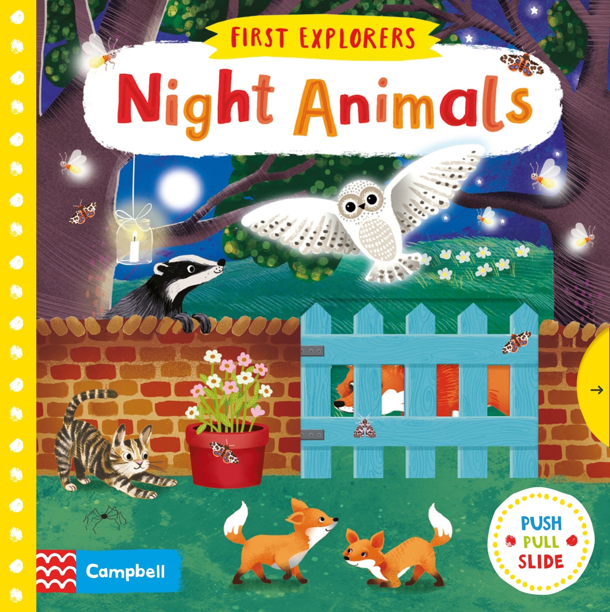Night Animals (Campbell First Explorers, 1)