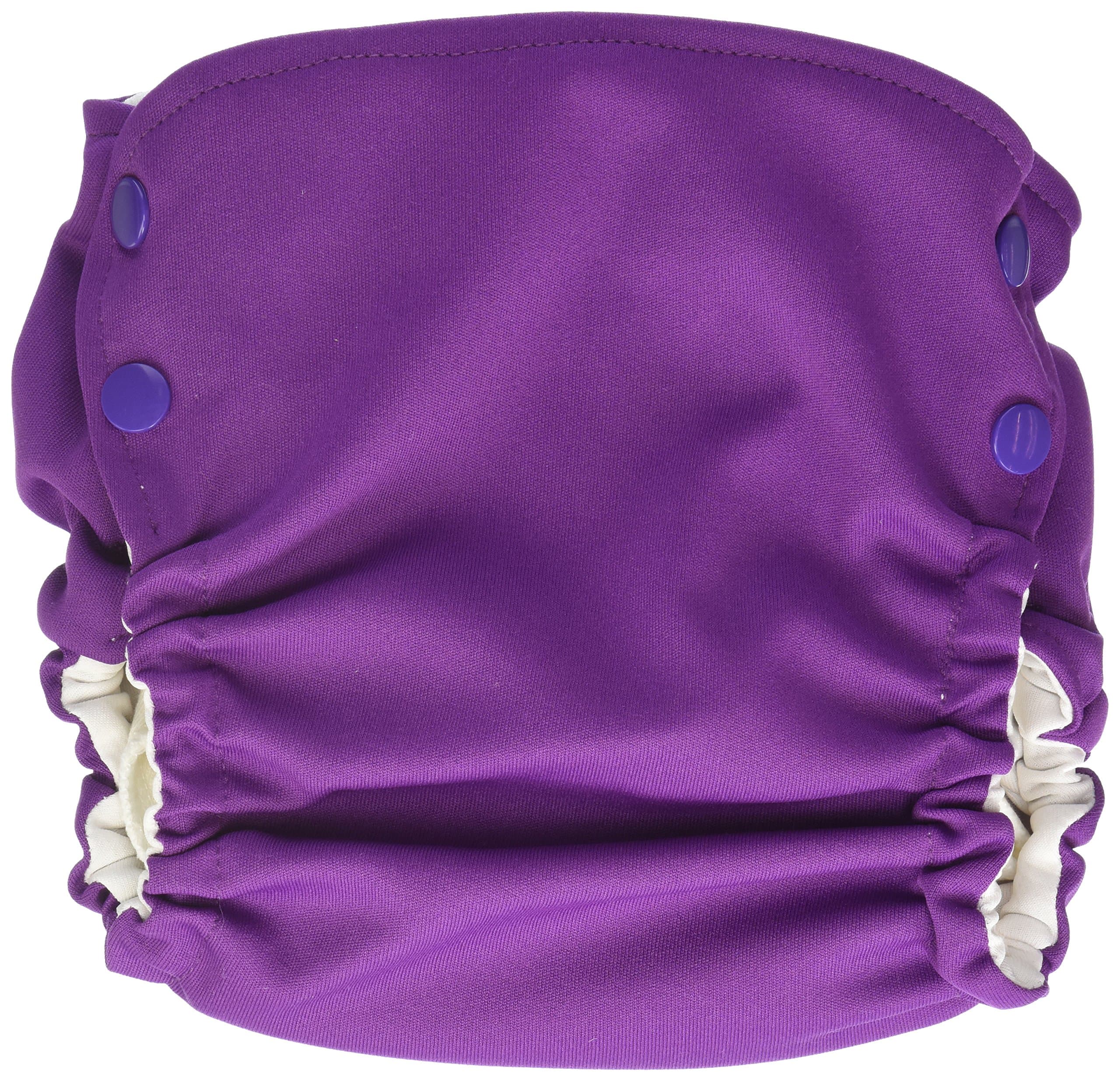 Evolution Diaper Ion Cloth Diaper, Purple